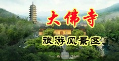 嗯嗯哈我要大鸡爸视频中国浙江-新昌大佛寺旅游风景区